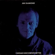 I Should Have Known Better by Jim Diamond