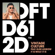 It Is What It Is by Vintage Culture feat. Elise LeGrow