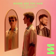 Where Are You Now by Lost Frequencies And Calum Scott