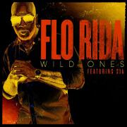 Wild Ones by Flo Rida feat. Sia