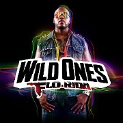 Wild Ones by Flo Rida