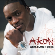 Sorry, Blame It On Me by Akon