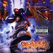 SIGNIFICANT OTHER by Limp Bizkit