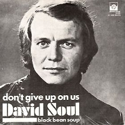 Don't Give Up On Us by David Soul
