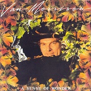A Sense Of Wonder by Van Morrison