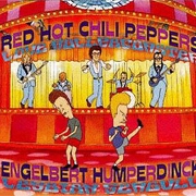 Love Rollercoaster by Red Hot Chili Peppers