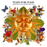 Tears Roll Down: Greatest Hits 82 - 92 by Tears for Fears