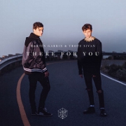 There For You by Martin Garrix And Troye Sivan