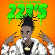 223's by YNW Melly feat. 9lokknine