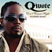 Don't Wanna Fight by Qwote feat. Trina