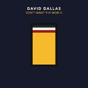 Don't Want The World by David Dallas
