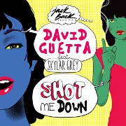 Shot Me Down by David Guetta feat. Skylar Grey