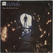 Bury Me Deep In Love by The Triffids