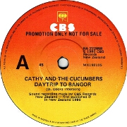 Day Trip To Bangor by Cathy & The Cucumbers