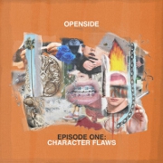 Character Flaws by Openside
