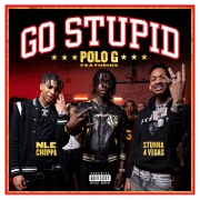 Go Stupid by Polo G, Stunna 4 Vegas And NLE Choppa