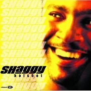 HOT SHOT (TOUR EDITION) by Shaggy