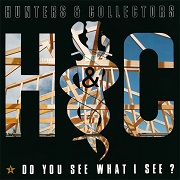 Do You See What I See by Hunters & Collectors