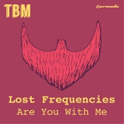 Are You With Me by Lost Frequencies