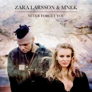 Never Forget You by Zara Larsson And MNEK