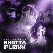 Shotta Flow 5 by NLE Choppa