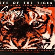 Eye Of The Tiger by Survivor