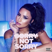 Sorry Not Sorry by Demi Lovato