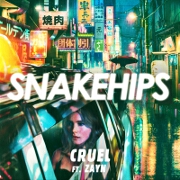 Cruel by Snakehips feat. ZAYN
