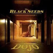 Cool Me Down by The Black Seeds