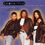 I Can't Tell You Why by Brownstone