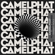 Rabbit Hole by CamelPhat feat. Jem Cooke