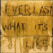 WHAT IT'S LIKE by Everlast