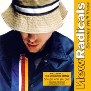 SOMEDAY WE'LL KNOW by New Radicals