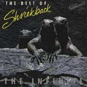 The Infinite: The Best Of by Shriekback