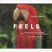 Feels by Calvin Harris feat. Pharrell Williams, Katy Perry And Big Sean