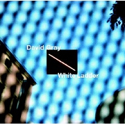 WHITE LADDER by David Gray