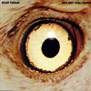 SCAR TISSUE by Red Hot Chili Peppers