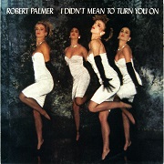 I Didn't Mean To Turn You On by Robert Palmer