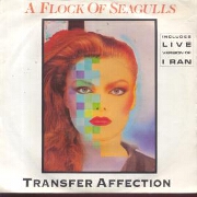 Transfer Affection by Flock of Seagulls