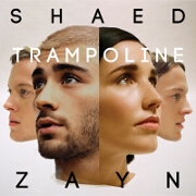 Trampoline by SHAED And ZAYN