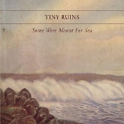 Some Were Meant For Sea by Tiny Ruins