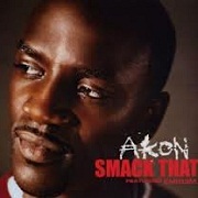 Smack That by Akon feat. Eminem