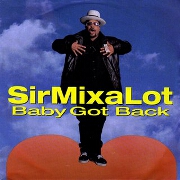 Baby Got Back by Sir Mix-A-Lot
