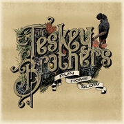 Carry You by The Teskey Brothers
