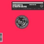 Thing For You by David Guetta And Martin Solveig