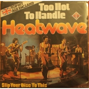 Too Hot To Handle by Heatwave