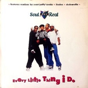 Every Little Thing I Do by Soul for Real