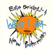 What I Am by Edie Brickell & New Bohemians