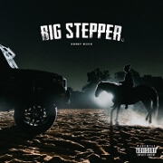 Big Stepper by Roddy Ricch