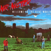 Welcome To The Real World by Mr Mister